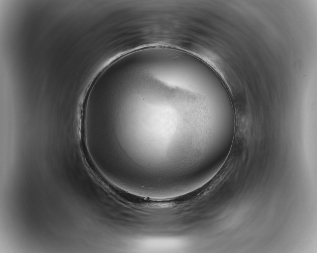X0000088741151200705311442