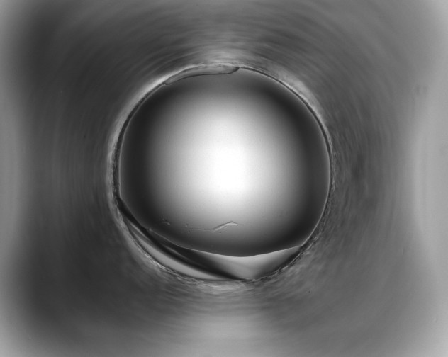 X0000088741152200705311442