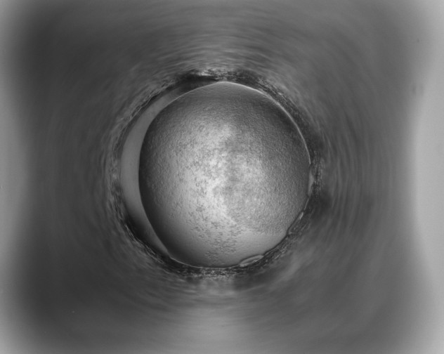 X0000088741153200705311442