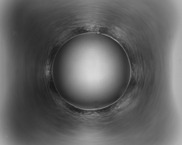 X0000088741154200705311442