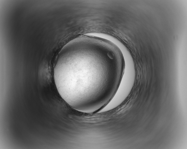 X0000088741156200705311442