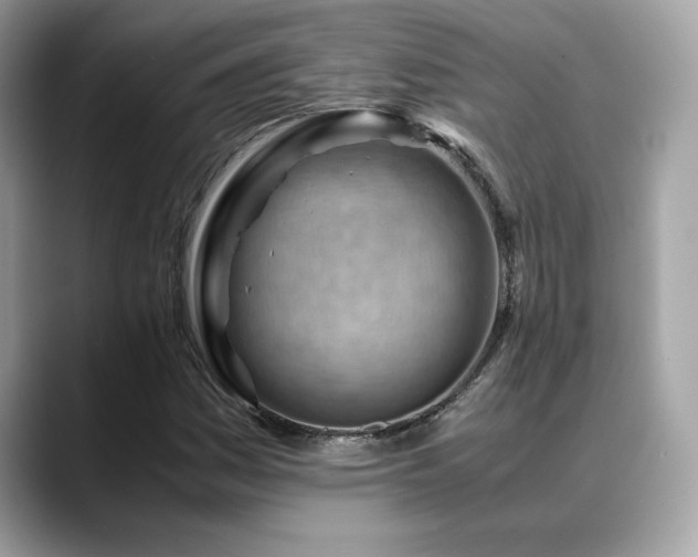 X0000088741161200705311442