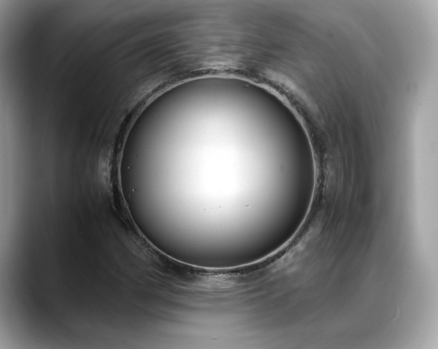 X0000088741162200705311442