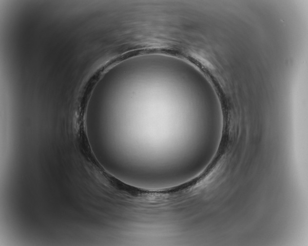 X0000088741163200705311442