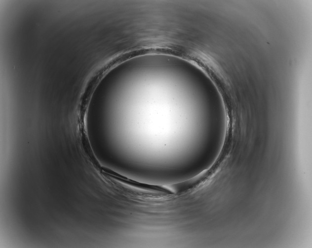 X0000088741164200705311442