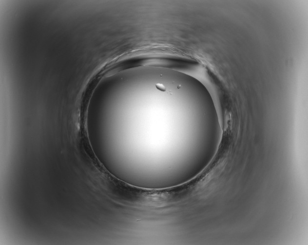 X0000088741165200705311442