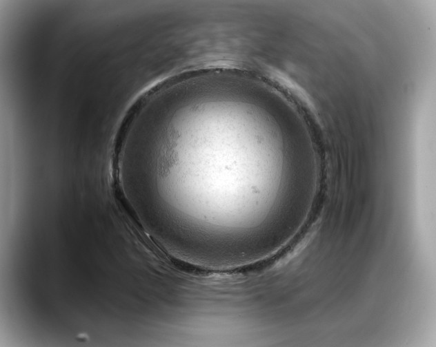 X0000088741166200705311442