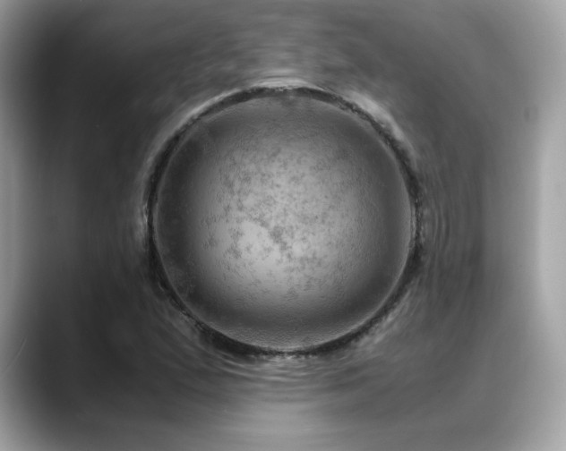 X0000088741167200705311442