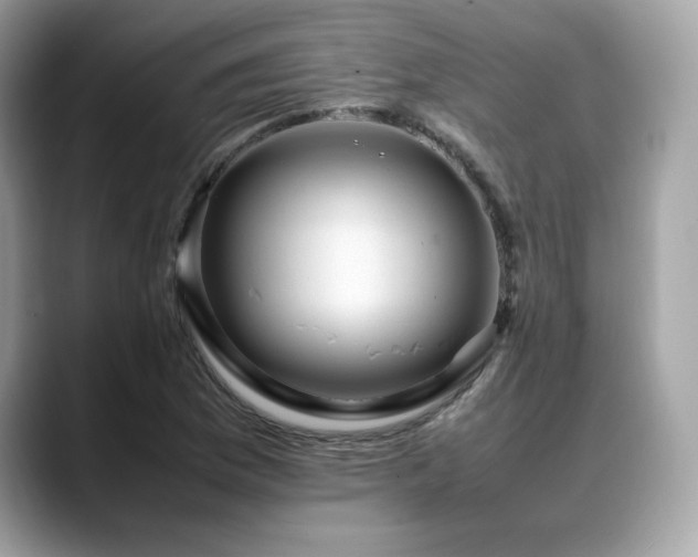 X0000088741169200705311442