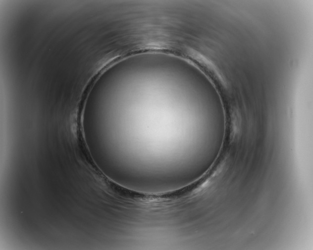 X0000088741170200705311442