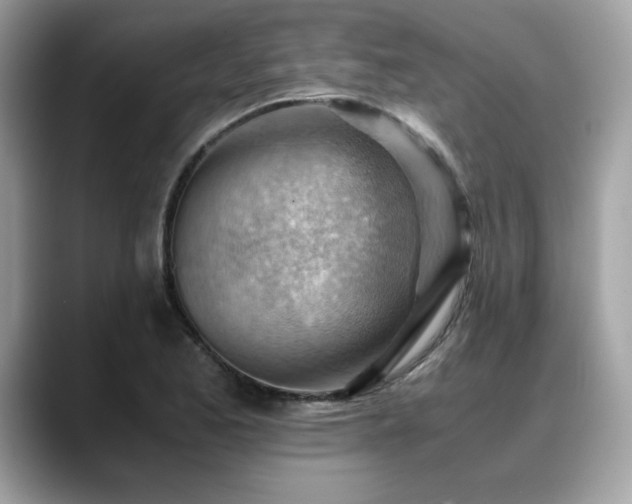 X0000088741173200705311442