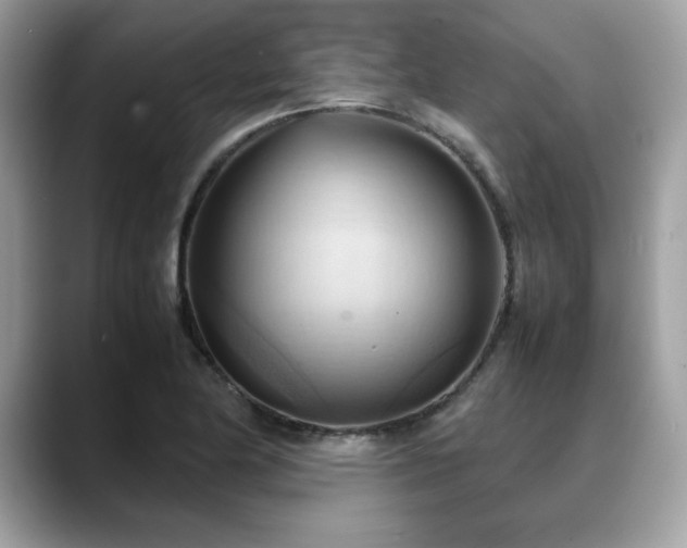 X0000088741174200705311442