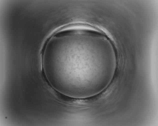 X0000088741175200705311442