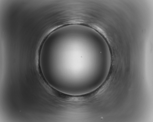 X0000088741179200705311442
