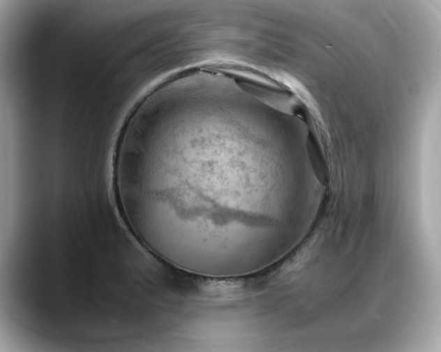X0000088741183200705311442