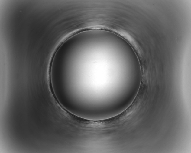 X0000088741191200705311441
