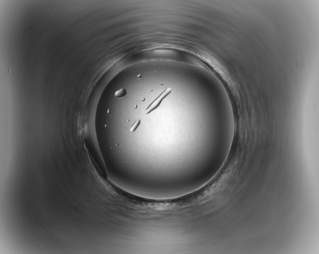 X0000088741193200705311441