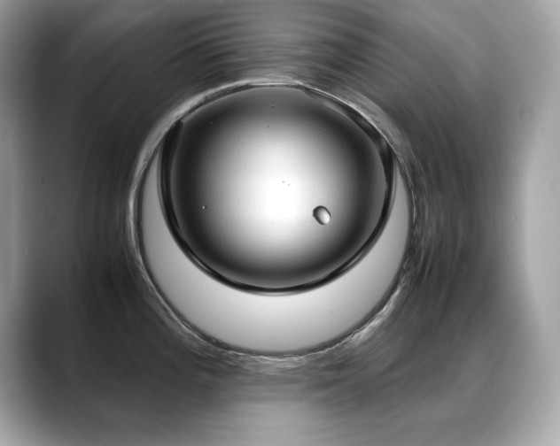 X0000088741196200705311441