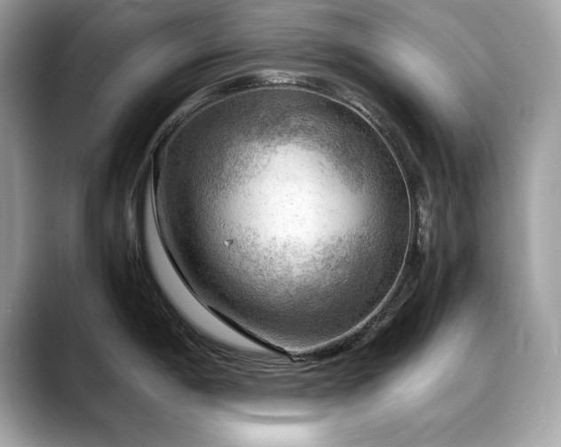 X0000088741198200705311441