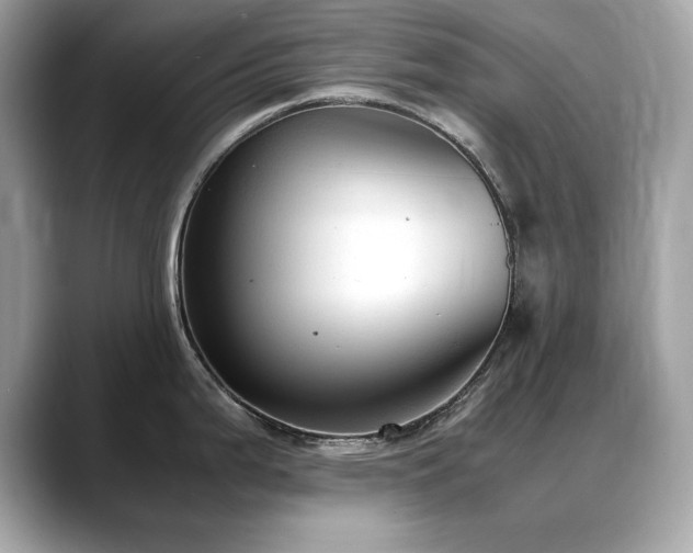 X0000088741199200705311441