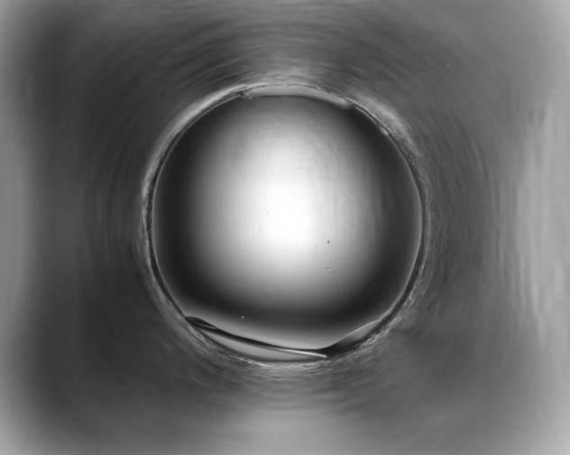 X0000088741200200705311441
