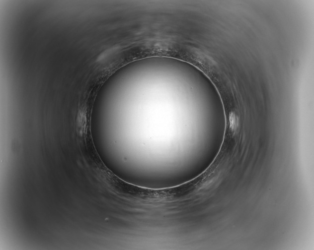 X0000088741203200705311441