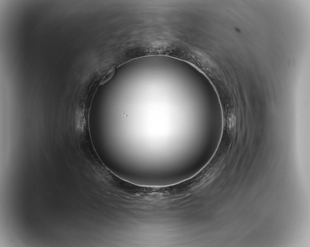 X0000088741204200705311441