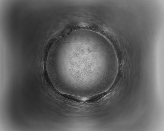 X0000088741205200705311441