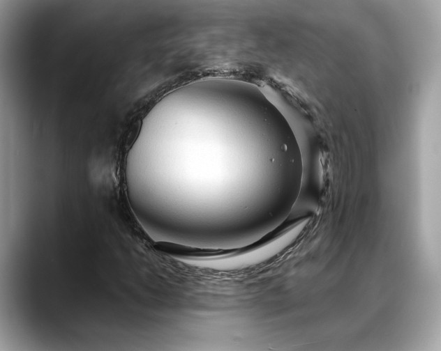 X0000088741206200705311441