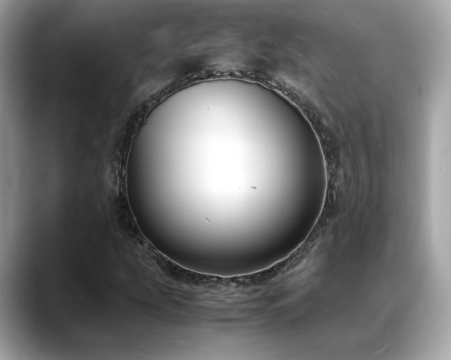 X0000088741207200705311441