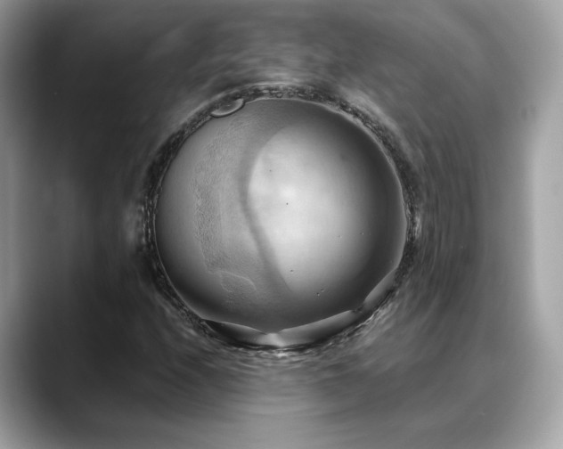 X0000088741208200705311441