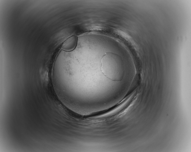 X0000088741209200705311441