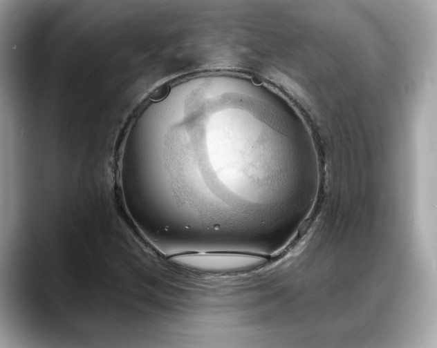 X0000088741212200705311441