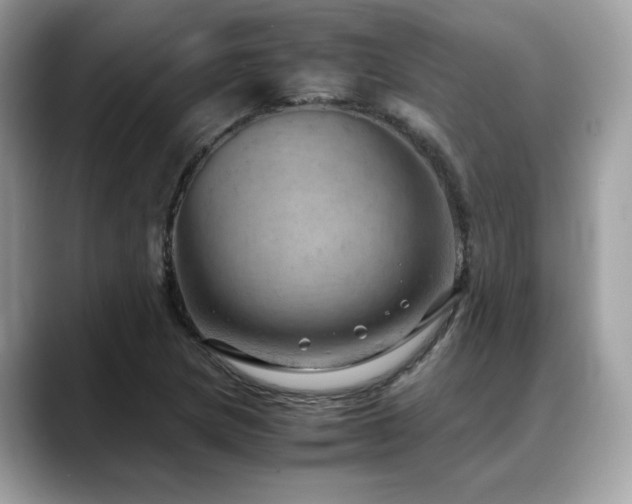 X0000088741217200705311441