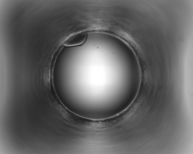 X0000088741220200705311441