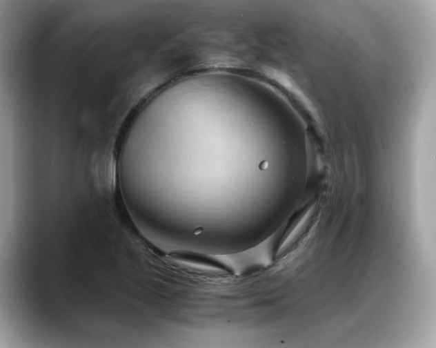 X0000088741221200705311441