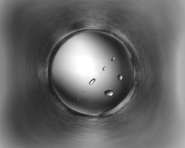 X0000088741222200705311441