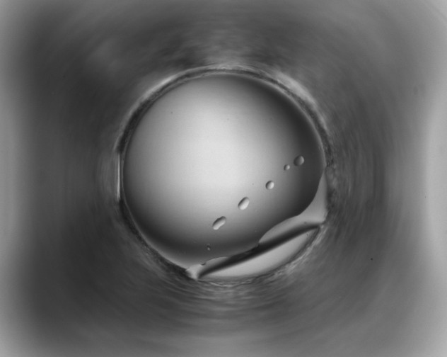 X0000088741223200705311441