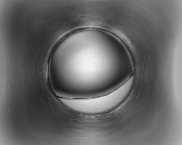 X0000088741224200705311441
