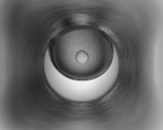 X0000088741225200705311441