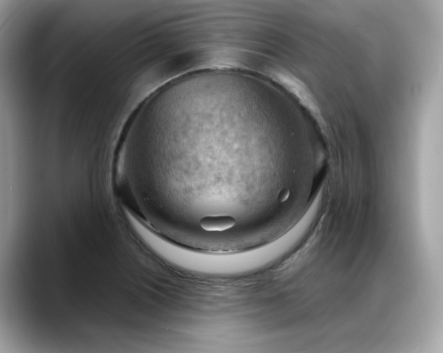 X0000088741226200705311441