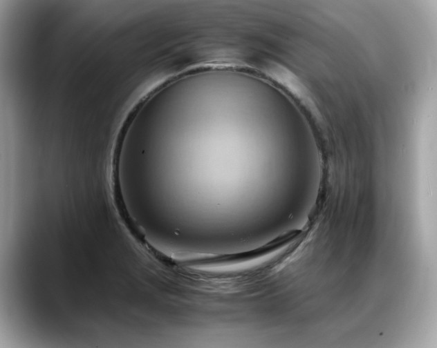X0000088741229200705311441