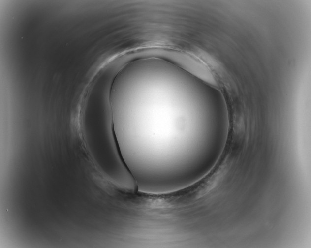 X0000088741230200705311441