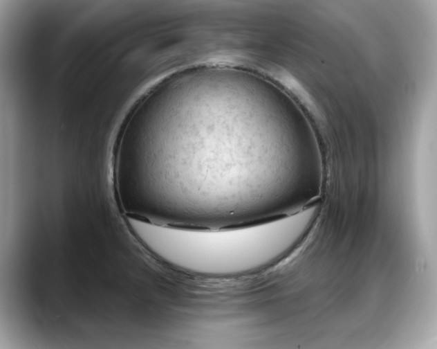 X0000088741232200705311441
