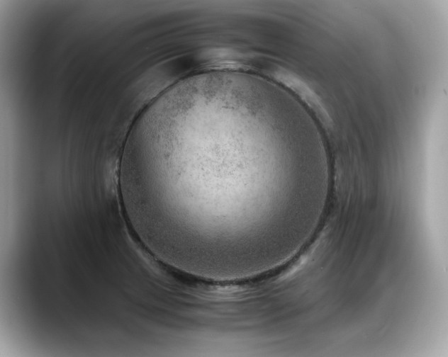 X0000088741233200705311441