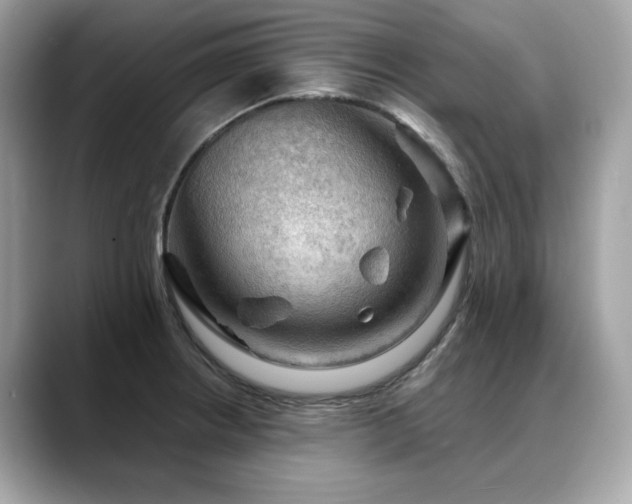X0000088741234200705311441