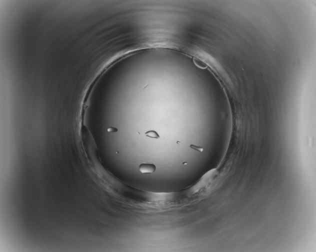 X0000088741236200705311441