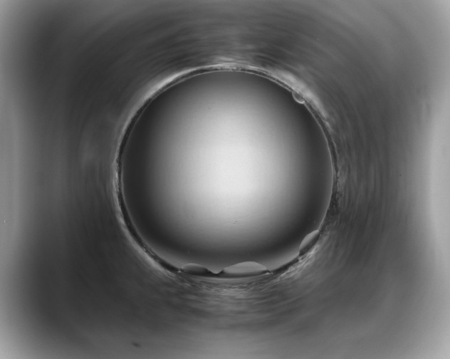 X0000088741239200705311441