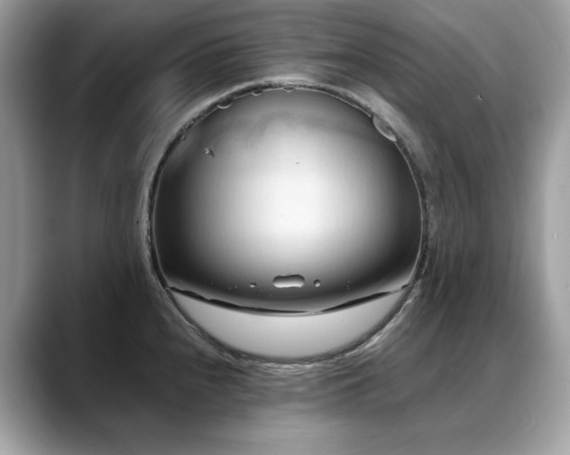 X0000088741240200705311441