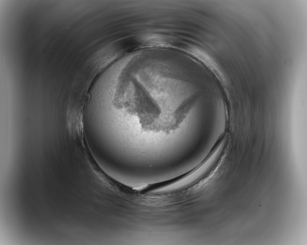 X0000088741241200705311441
